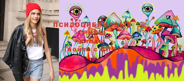 марки nbome Арсеньев